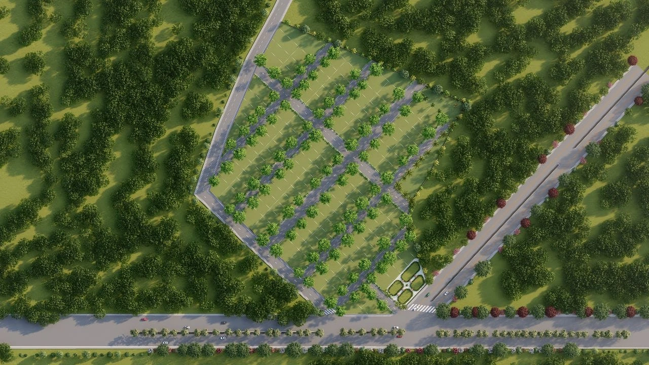 plots for sales